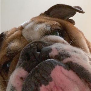 Meet your Posher, Brenda